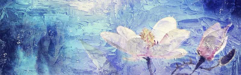 �ȒP�ɂ��鏗�Əo���A�v���s�n�o�T���Z�t���T���ɕ]���Ȃ̂́H0006